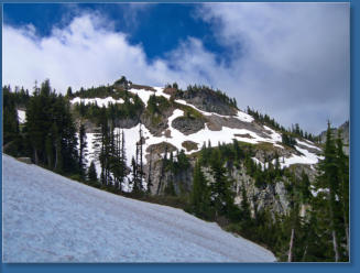 Pinnacle Pine Trail - Mt. Rainier National Park, WA