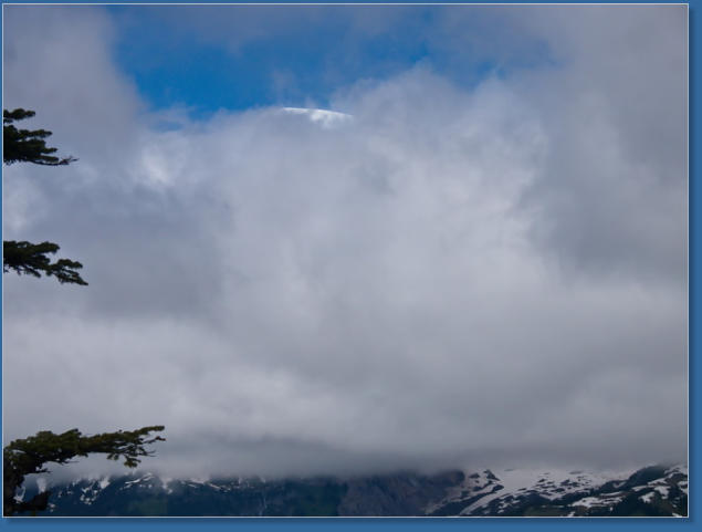 Pinnacle Pine Trail - Mt. Rainier National Park, WA