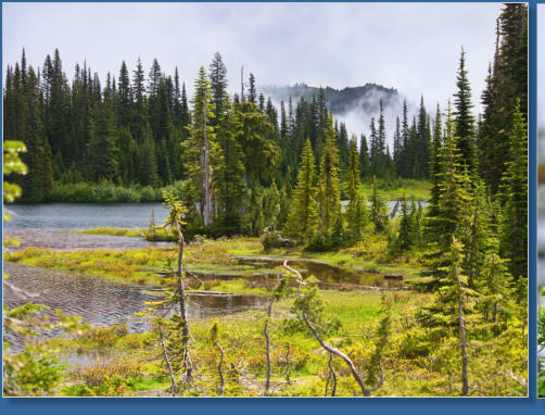 Reflection Lake - Mt. Rainier National Park, WA