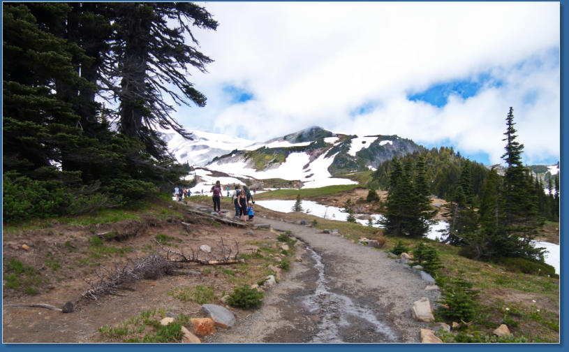 Skyline Trail - Paradise, Mt. Rainier NP, WA