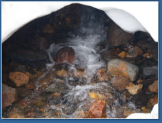 Skyline Trail - Paradise, Mt. Rainier NP, WA