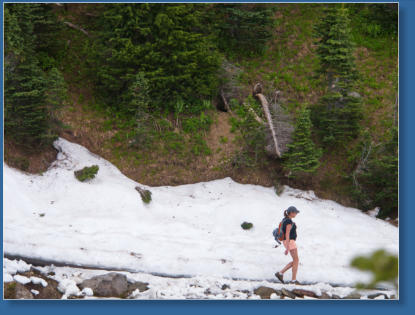 Skyline Trail - Paradise, Mt. Rainier NP, WA
