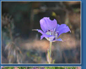 Smith Rock State Park, OR