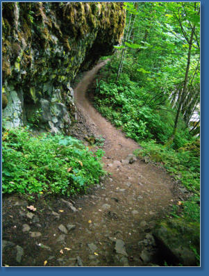 Wahkeena Falls Trail - Columbia River Gorge, OR