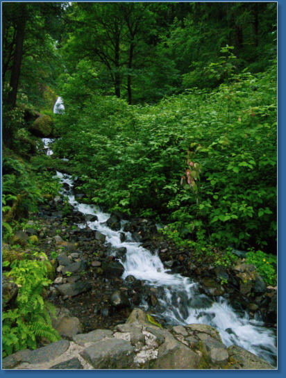 Wahkeena Falls Trail - Columbia River Gorge, OR