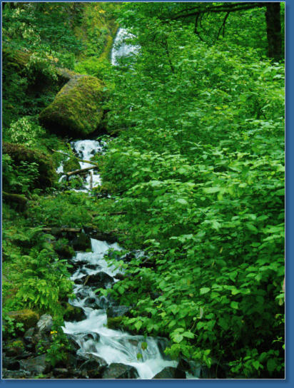 Wahkeena Falls Trail - Columbia River Gorge, OR