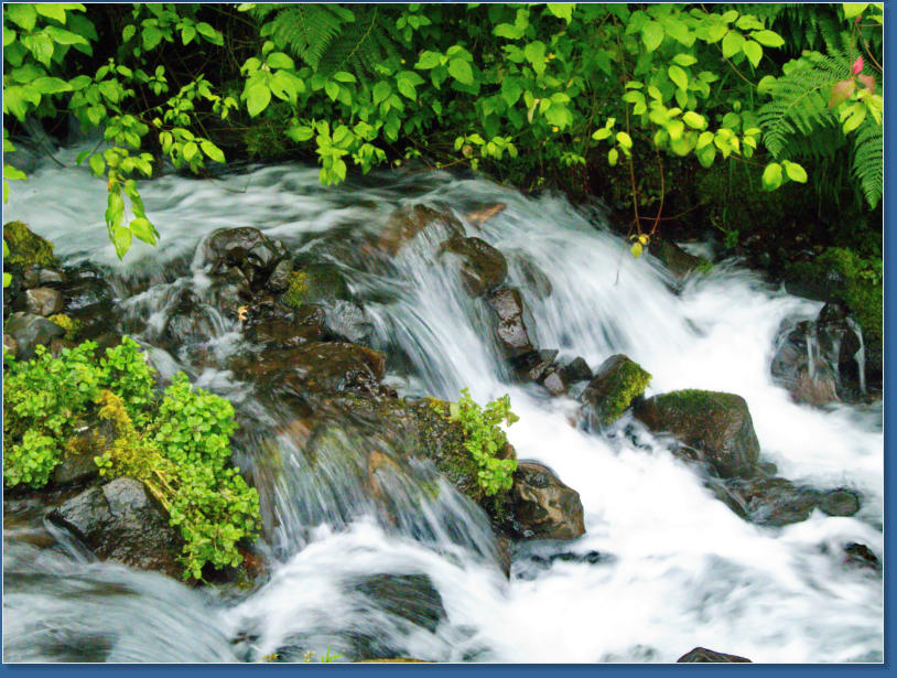Wahkeena Falls Trail - Columbia River Gorge, OR