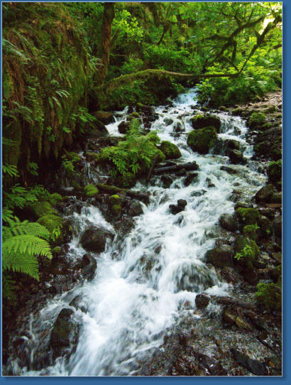 Wahkeena Falls Trail - Columbia River Gorge, OR