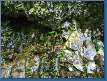 Wahkeena Falls Trail - Columbia River Gorge, OR