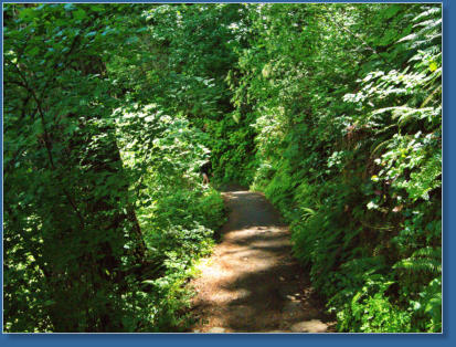 Wahkeena Falls Trail - Columbia River Gorge, OR