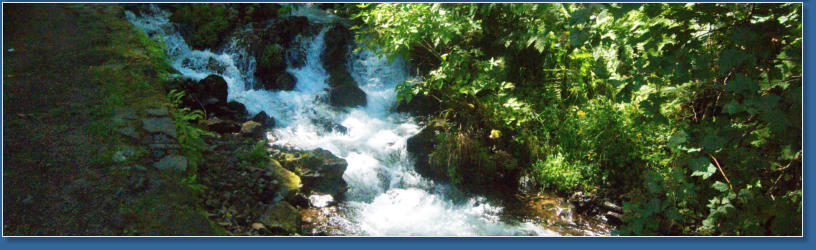 Wahkeena Falls Trail - Columbia River Gorge, OR