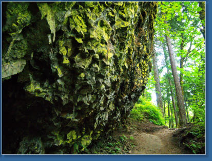 Wahkeena Falls Trail - Columbia River Gorge, OR