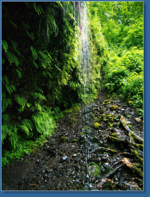 Wahkeena Falls Trail - Columbia River Gorge, OR