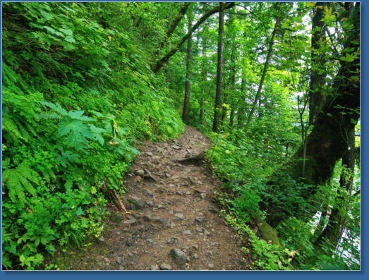 Wahkeena Falls Trail - Columbia River Gorge, OR