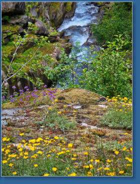 Wasserfälle - Mt. Rainier National Park, WA