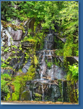 Wasserfälle - Mt. Rainier National Park, WA