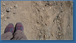 Weg zum Spirit Lake Overlook, Mount St. Helens National Volcanic Monument, WA