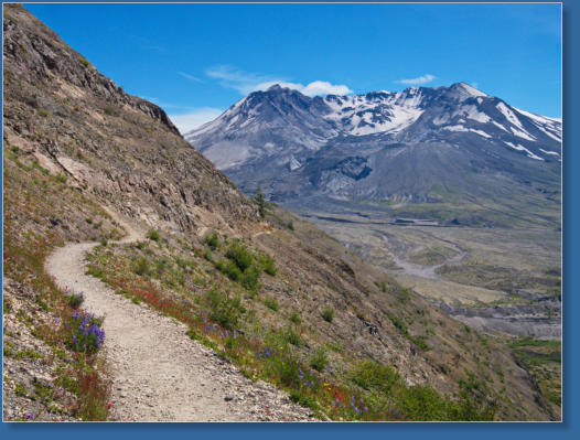 Weg zum Spirit Lake Overlook, Mount St. Helens National Volcanic Monument, WA