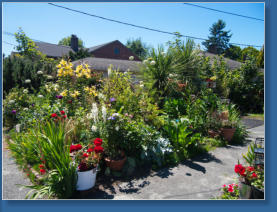 Wohnviertel am Alki-Beach - Seattle, WA