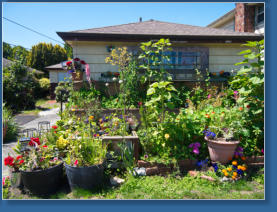 Wohnviertel am Alki-Beach - Seattle, WA