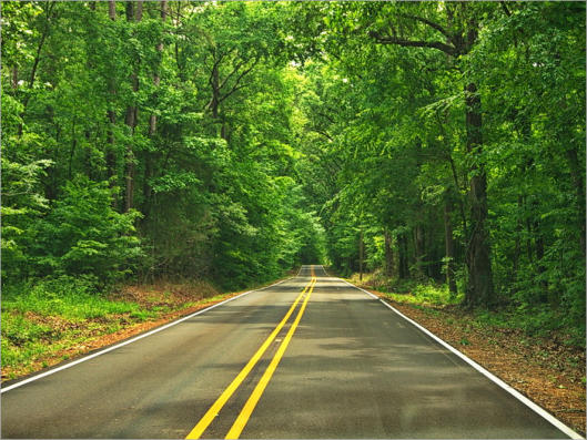 Roling Hills - Mississippi