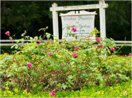 Rosedown Plantation, LA