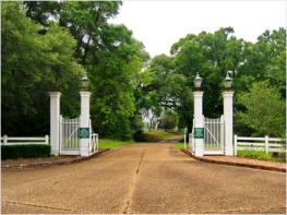 Rosedown Plantation, LA