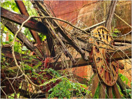 Marnie S Barrett at Deer Park, LA