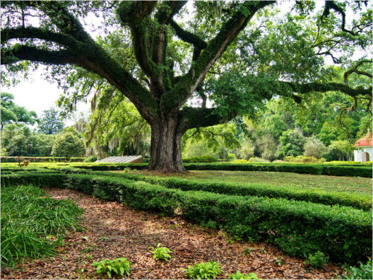 Rosedown Plantation, LA