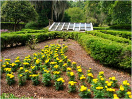 Rosedown Plantation, LA