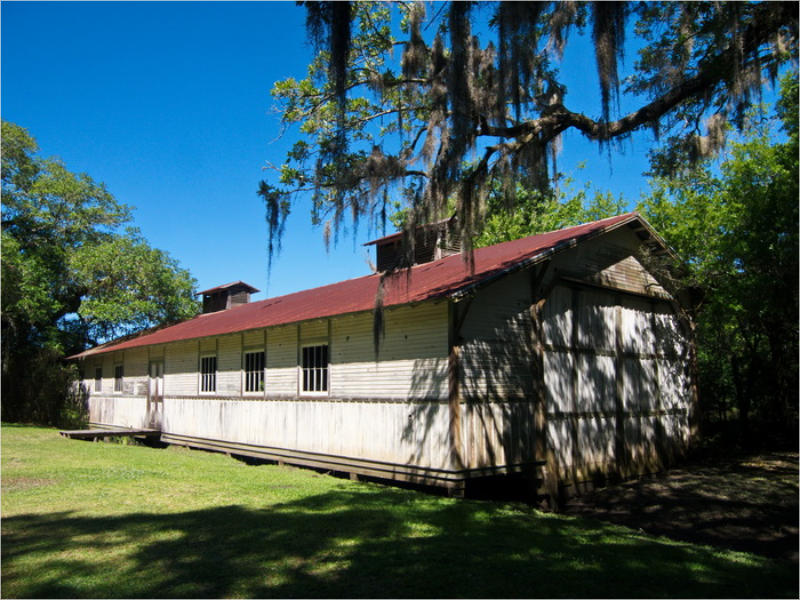 Jungle Garden - Avery Island, LA