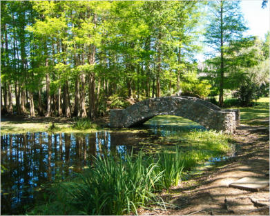 Jungle Garden - Avery Island, LA