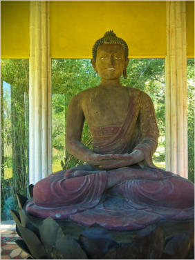 Jungle Garden - Avery Island, LA