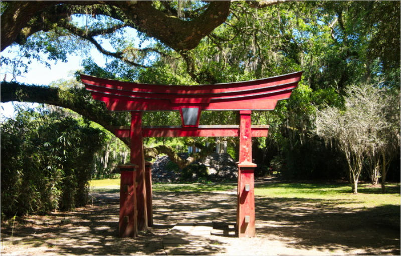 Jungle Garden - Avery Island, LA