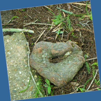 Jungle Garden - Avery Island, LA