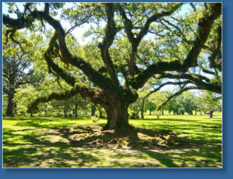 Oak Alley Plantation, LA
