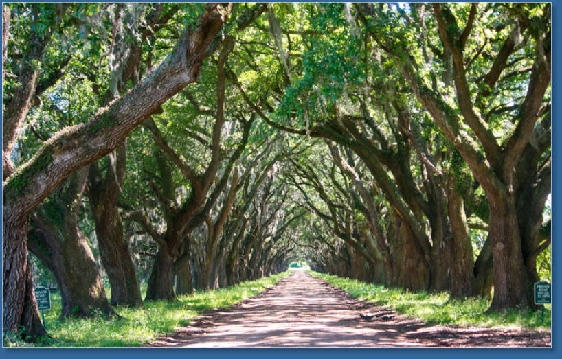 Greenwood Plantation, LA
