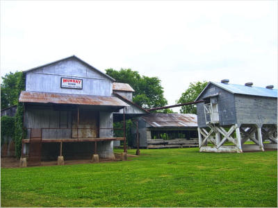 Dockery Farms, HW 61, MS