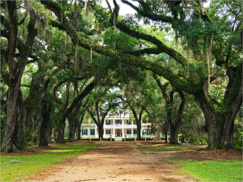 Rosedown Plantation, LA