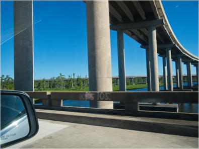 Swamp-Interstate, LA