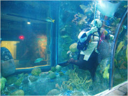 Aquarium New Orleans, LA