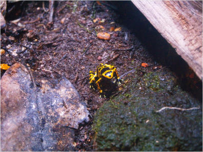 Aquarium New Orleans, LA