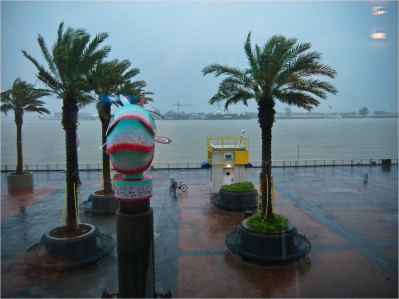 Blick aus dem Aquarium New Orleans, LA