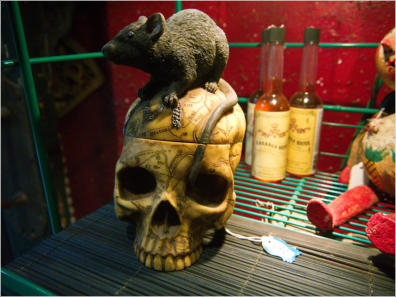 Frensh-Quarter, New Orleans, LA