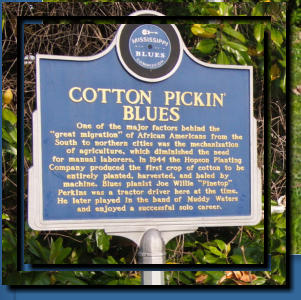 Cotton Pickin' Blues