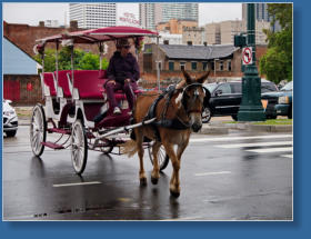 Frensh Quarter - New Orleans, LA