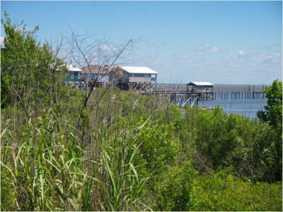 Entlang des Highway 90, LA