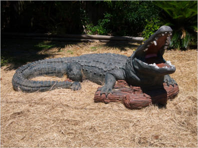 Entlang des Highway 90, LA