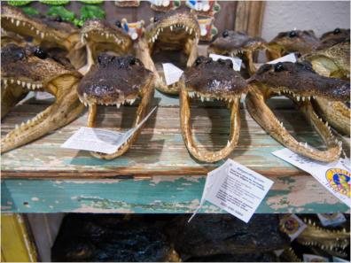 Entlang des Highway 90, LA