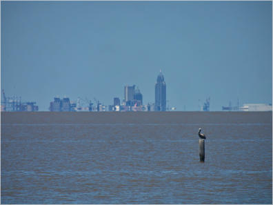 Am Pier in Fairhope, AL